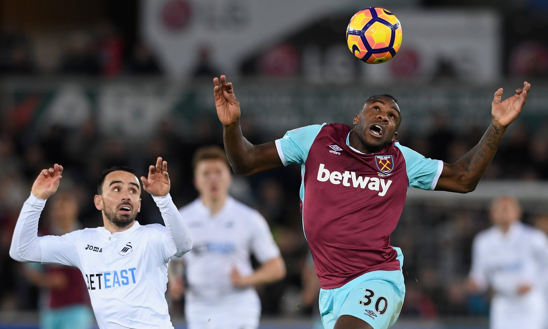 雄鹿时的表 雄鹿时的表